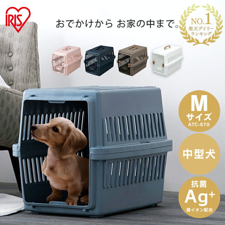 楽天市場】《10%OFFクーポン☆18日19時〜》＼楽天ランキング1位 