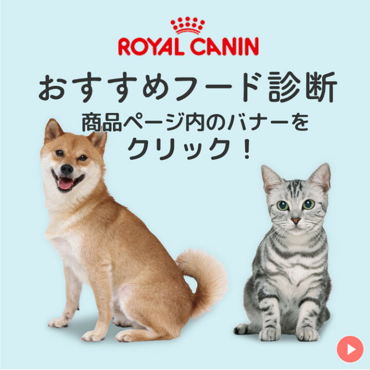 楽天市場】【セットはさらにお得！】ロイヤルカナン マザー＆ベビー 