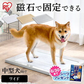 【SS限定価格】★今ならおまけ付きも選べる★ 犬 トイレトレー ワイド スタイリッシュ ペットトレー アイリスオーヤマペットトイレ ペットシート トレー スクエアドッグトレー SQDT-616W 犬用 トイレ 簡単 おしゃれ シンプル【OMK】