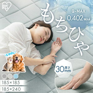 yő400~N[|IɂfCzO ėp 2 3 ڐG⊴ ⊴WF Ђ ⊴O  3cm h Lg J[ybg O}bg 185×185 185×240 NbVO ACXI[