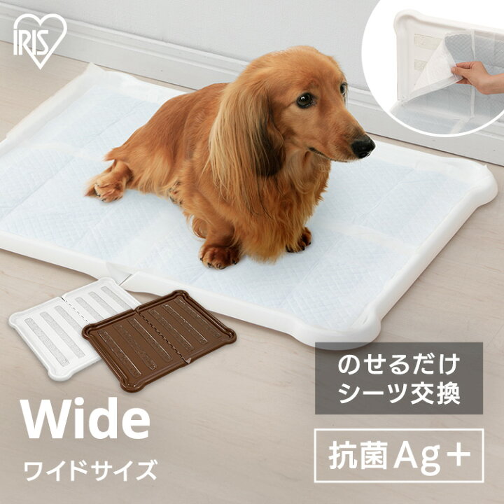 楽天市場】《ポイント10倍☆27日9:59迄》トイレトレー ワイド 犬 