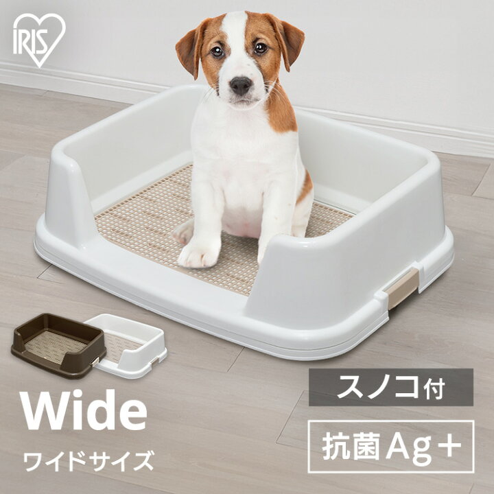 楽天市場】《10%OFFクーポン☆27日9:59迄》トイレトレー トレーニング 