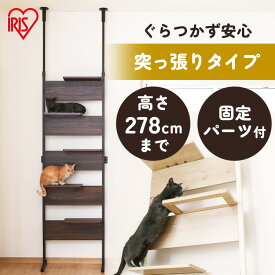 【先着50名様クーポン利用で24,552円！11日1:59迄】キャットタワー 突っ張り スリム 木製 おしゃれ キャットステップ 壁 穴あけ不要 賃貸 壁を傷つけない 透明 壁付け 省スペース アイリスオーヤマ CATS-68【AR対応】