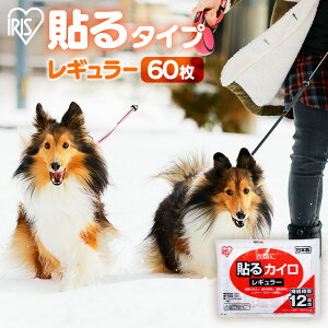 ΍ ̎U \JC 60 ACXI[} JC \ h ^ ΍  ObY ߕ  ₦ ĝăJC ĝ JC ۂۂƑ M[TCY 