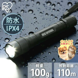 _ybĝ̖Uɂ߁^   U d LED ^ h nfBCg led dr LWK-200Z Ɠ led  XeBbN 200lm  F [NCg XeBbNCg 