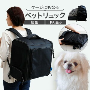 �y�ő�400�~�N�[�|���I�����ɂ��f�C�z�y�b�g �y�b�g�p�i �� NO ALIKE �y�b�g�����b�N �y�b�g�����b�N �y�b�g�L�����[ �y�b�g�����^�� NO ALIKE ���p�i �R�� ���L �o�b�N�p�b�N ���s�����b�N �V