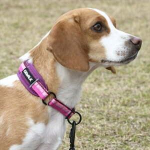  J[  LGE104 GW n[t `[N J[ GR 2.5  J[  U `[N  AEghA WEH[N GEWALK IW x[W bh p[v O[ ubN