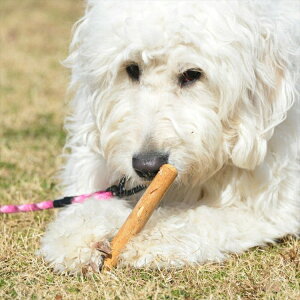 p  VR LGE202 GW hbO `E XeBbN R[q[ c[ XS Jx[W p  VR  V o I` ߋ p AEghA WEH[N GEWALK