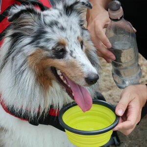 ボウル 犬 折りたたみ LGE400 ポップアップドッグボウル S ボウル 犬 折りたたみ 携帯用 水飲みボウル コンパクト 持ち運び 食器 散歩 お出かけ アウトドア ジウォーク GEWALK イエロー オレンジ