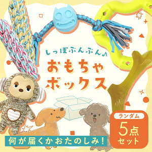 nbs[obO  {bNX ^ g镟 hbOgC [v f^PA t[v Zbg S [vn f^gC ʂ ǂV