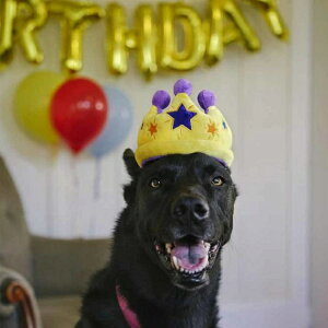 p p[eB[^C o[ P[L NE p[eB[z[ p[eB[v[g ybgp pʂ V vȂ  Ɋ