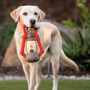 LvR[rp ybgp pʂ V vȂ  Ɋ΂ v[g i fUC [N Lvt@C