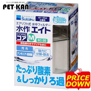 ySALE17%OFFztB^[ GCgRA M GCg     ANAE pi [2509SE]