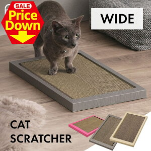 y23OFFSSz܂Ƃ ܌ L _{[ i{[ Ch 傫 ̂т̂ ܌ ۂ  t`t 킢  ܖ   2C KK u^ e 