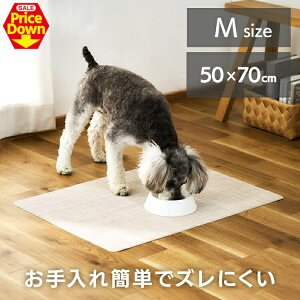 y17OFFSSzybg}bg PVC}bg MTCY 50cm×70cm ɂ ϐ g[Ή `}bg NbV ϋv @ L  P-M5070 t~[ gC H}bg  