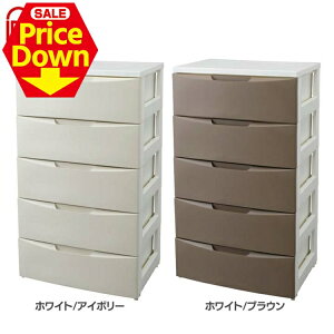 y17OFFSSzybg  L  L ybgV[c ybgpi [ [`FXg 5i^Cv 55cm [ ߗގ[ ߏփP[X ߑP[X [P[X o o vX