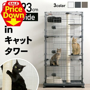 y10OFFSSzL P[W 3i ACXI[} LX^[t nbN LbgP[W LXLbg^[ ܂Ƃ LbgP[W LP[W Ch PCLC-903 LP[W ^  