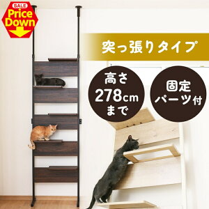 y24OFFSSz_NAXebvœ^LbgXebv Ǌ|  ˂ LbgEH[N Lbg^[  Ǖt ؐ X ȃXy[X  Ki  A