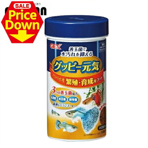 y13OFFSSzObs[ a GT Ϗ܋  ANAE C ɐB琬pt[h 52g GT WFbNX [LP]yTCz[2512SE]