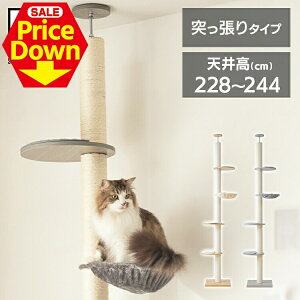 y50OFFSSzLbg^[ ˂ ܂Ƃ X ȃXy[X ς L^[ ؓo |[ KCCT]244 ˂ L^[  CeA Lbg|[ Lc[ ؐ ȃX