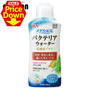 y10OFFSSz _J oNeA _  C oNeAEH[^[ 300ml ꕪ  WFbNX O  YEt GEX[2512SE]