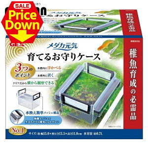 y10OFFSSzANAE _J  Y C Ă邨P[X ue t 琬 NA WFbNX P[X ɍ׃bV ׂ GEX[2512SE]