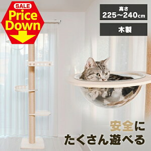 y50OFFSSzLbg^[ Lbg^[ Lbg^[ ˂ Lbg^[ ؐ L^[ X  Lbg|[ Lbgx[X  łԂ˂ ^L {rA