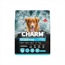 チャーム ドッグフード CHARM ノース・アトランティック・オーシャン・フィッシュドッグフード 2kg プレミアムフード グレインフリー 犬 ナチュラル アレルギー 小粒 無添加 肥満