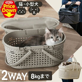 【SALE★最大12％OFF】★カラーリニューアル★ペットキャリー 小型犬 猫 ペット キャリーバッグ 犬 キャリーケース 上開き 2way 持ち手 ショルダー 軽量 収納スペース付き 丸洗い可能 アイリスオーヤマ メッシュペットキャリー MPC-450 * [2606SE]