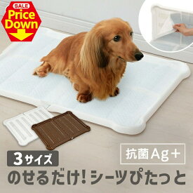 【SALE★10％OFF】トイレトレー ワイド 犬 しつけシーツぴたっとトレー ダブル P-SPTD ホワイト ブラウン トイレ トイレ本体 トイレ容器 ペット用品 用品 用トイレ 簡単取り替え 楽天 [2606SE]