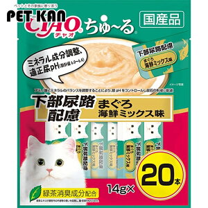 yP3{519`zCIAO ` AHz ܂ CN~bNX 14g×20{ SC-197 Ȃ΃ybgt[h `I L  ԐH XibN [ `[ y[Xg 