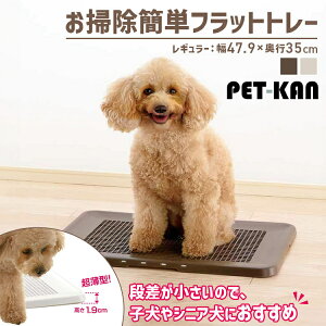 yő400~N[|IɂfCz gC ȒP bV |ȒPtbgg[ M[ g[ ^ ps[ VjA |ȒP ybgpi Yɂ Richell b`