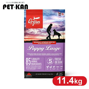 yő400~N[|IɂfCzp hbOt[h ORIJEN IW ps[[W 11.4kg ޕsgp q e ^ v~At[hIW gybc Trumpets yBz