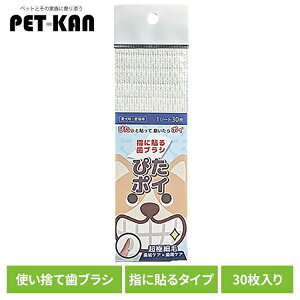 f^PA oPA p  IN`uV ҂|C f^PA oPA L C Lp  ĝ uV v[N |Pbg P[s[GX