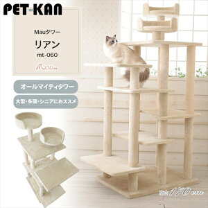 Mau^[ A x[W mt-060Mau Lbg^[ Lbgc[ gݗ LXNb`[ Lߋ ܂Ƃ |[ Lxbh ^s