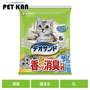 LgCpi L z^Cv fITh IVbR̂ƂɍŏL鍻 i`\[v̍ 5LL L uԏL ł܂ j`[ \[v ˂ lR ˂ gC jE`