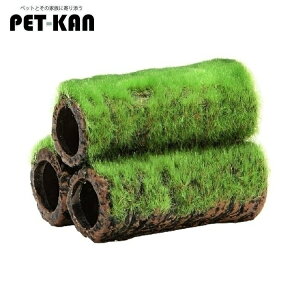 yő400~N[|IɂfCzWFbNX Șa̒ y S [LP]yTCz