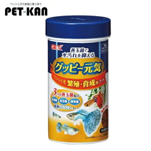 yő400~N[|IɂfCzObs[ a GT Ϗ܋  ANAE C ɐB琬pt[h 52g GT WFbNX [LP]yTCz