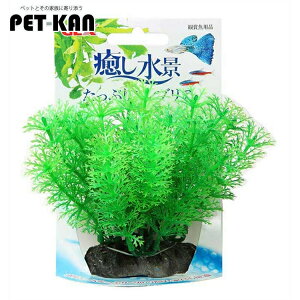 GEX i ՂAuA lH ̉B ͂ȂlHvc  ANAE CAEg ANZT[ WFbNX GEX