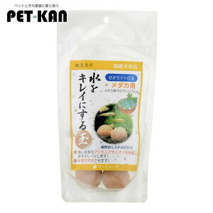 yő400~N[|ɂfCzANAE _J ꍻ p [ICg̋ p ANA ߂  򉻃T~[Y yTCz[LP]