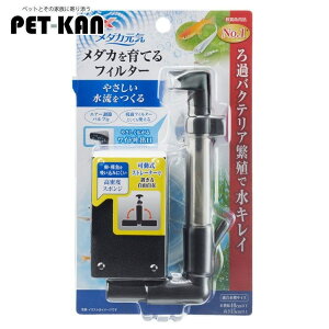  tB^? _J  ANAE _JC _JĂtB^[ _J tB^[ X|W Chfo GA[ WFbNX ₳ ɐBE琬 RpNg GEX