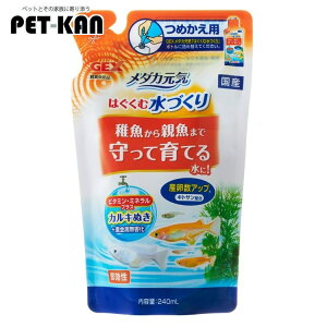 _J h{⋋  ANAE C ͂ސÂ l֗p 240ml Ϗ܋ ߂ t JL WFbNX lߑւ  eco GEX