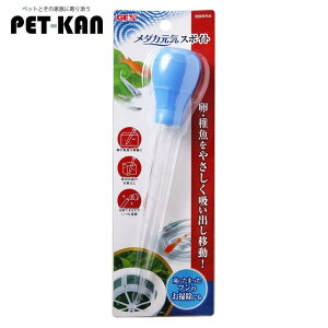 アクアリウム メダカ 飼育 稚魚 元気 スポイト スポイト 卵 掃除 ジェックス 吸い出し やさしい エサやり GEX