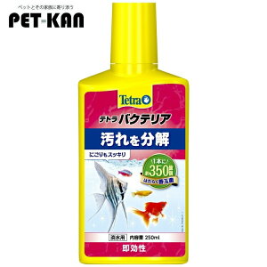 𕪉   ANAE eg oNeA 250ml jIC   jS ɂ ɂ  ӂ t yBz