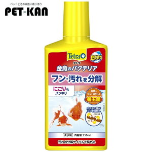 y11Petق̓Izeg ̃oNeA250ml  jIC   jS 񂬂 ӂ yBz