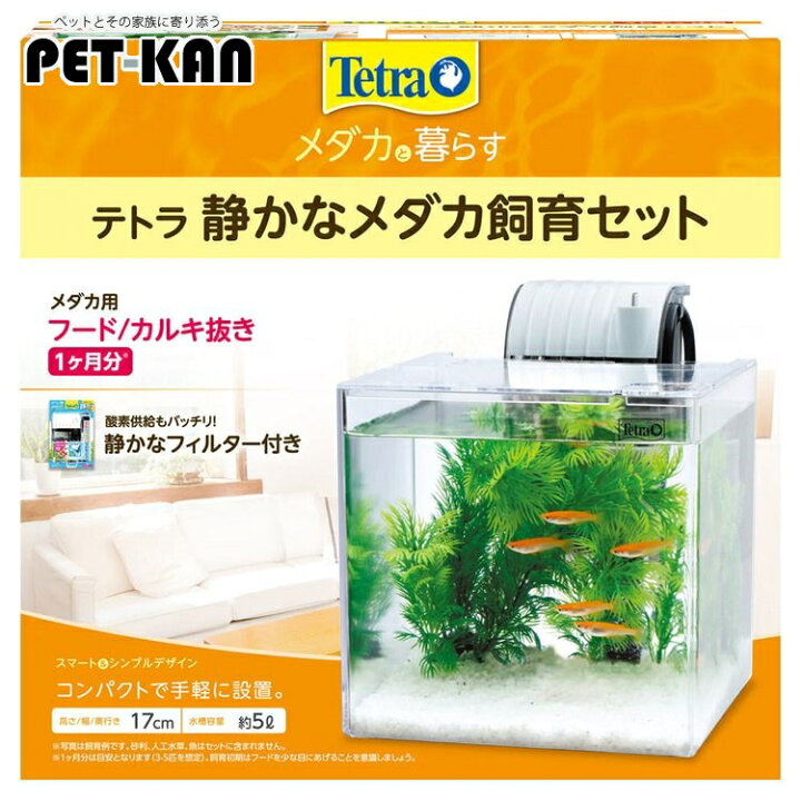 楽天市場】アクアリウム 水槽 セット メダカ 飼育 テトラ セット SF 