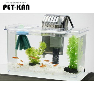 ANAE  Zbg Zbg _J Y eg _J̔ɐByރZbgS  Y ɐB _J ߂ yBz