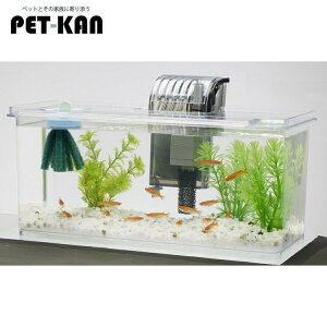 yő400~N[|I炵ɃvXzANAE  Zbg Zbg _J Y eg _J̔ɐByރZbgL  Y ɐB _J ߂ yBz