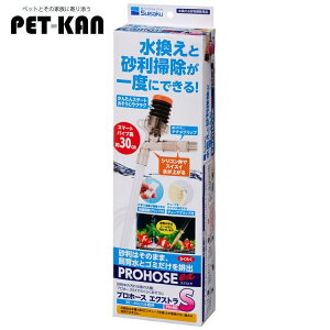 yő400~N[|IɂfCzANAE  | vz[XGNXg S  S~ r  