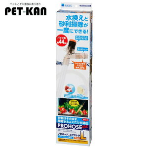 ANAE  | vz[XGNXg L  S~ r  [2512SE]